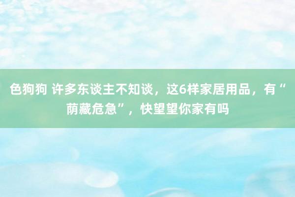 色狗狗 许多东谈主不知谈，这6样家居用品，有“荫藏危急”，快望望你家有吗