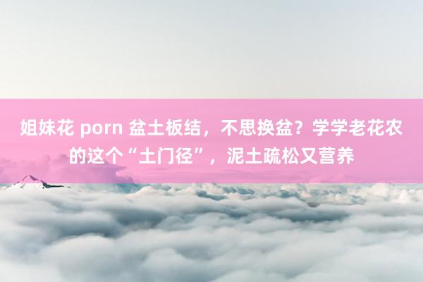 姐妹花 porn 盆土板结，不思换盆？学学老花农的这个“土门径”，泥土疏松又营养