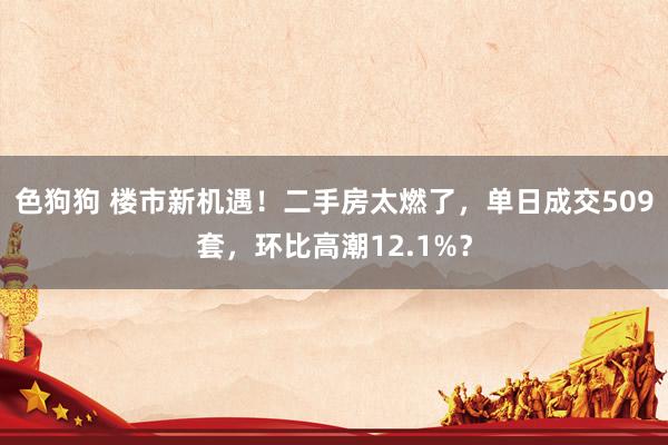 色狗狗 楼市新机遇！二手房太燃了，单日成交509套，环比高潮12.1%？