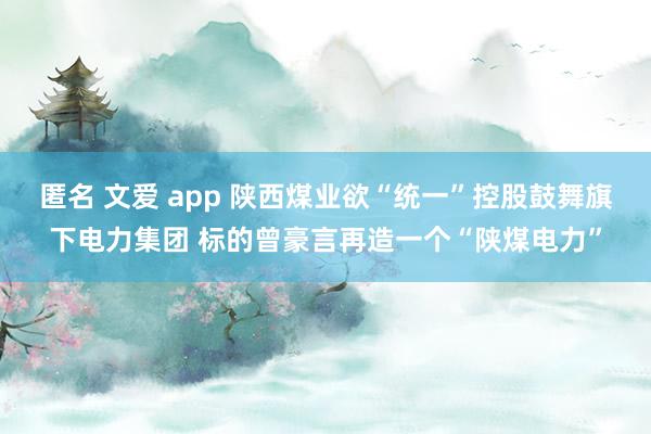 匿名 文爱 app 陕西煤业欲“统一”控股鼓舞旗下电力集团 标的曾豪言再造一个“陕煤电力”