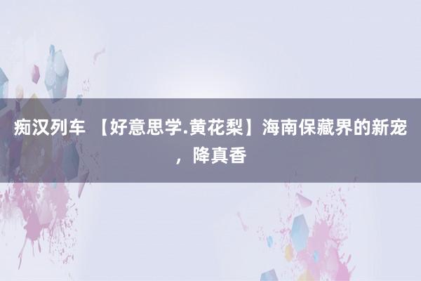 痴汉列车 【好意思学.黄花梨】海南保藏界的新宠，降真香