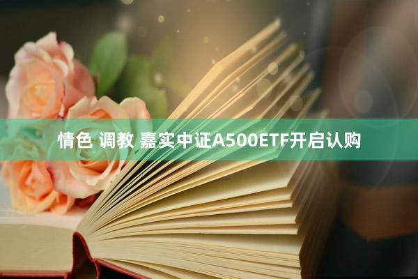 情色 调教 嘉实中证A500ETF开启认购