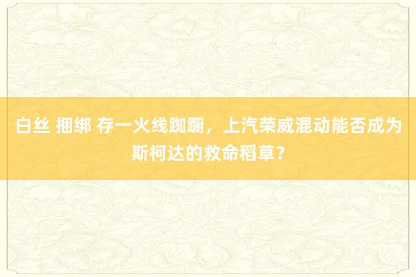 白丝 捆绑 存一火线踟蹰，上汽荣威混动能否成为斯柯达的救命稻草？