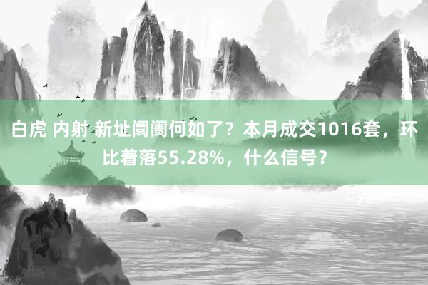 白虎 内射 新址阛阓何如了？本月成交1016套，环比着落55.28%，什么信号？