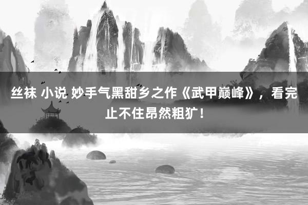 丝袜 小说 妙手气黑甜乡之作《武甲巅峰》，看完止不住昂然粗犷！