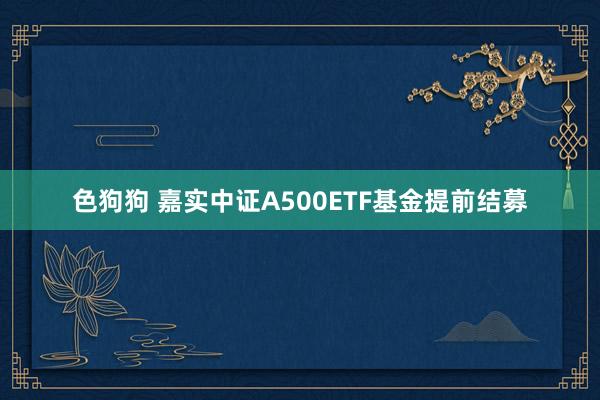 色狗狗 嘉实中证A500ETF基金提前结募