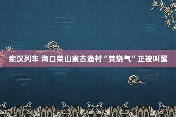 痴汉列车 海口荣山寮古渔村“焚烧气”正被叫醒