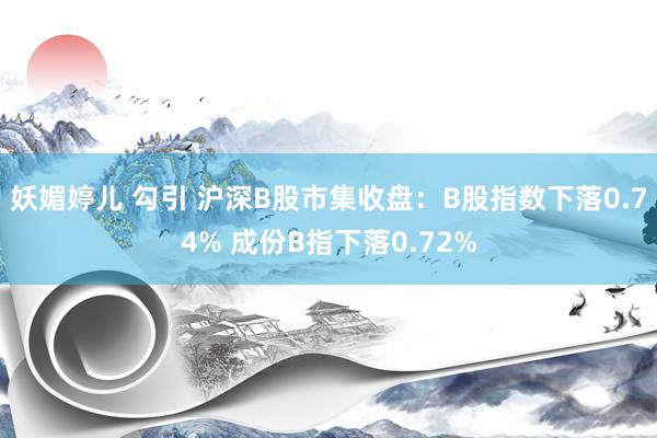 妖媚婷儿 勾引 沪深B股市集收盘：B股指数下落0.74% 成份B指下落0.72%