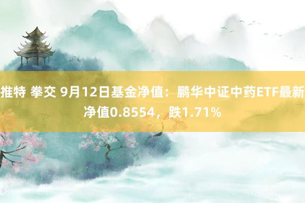 推特 拳交 9月12日基金净值：鹏华中证中药ETF最新净值0.8554，跌1.71%