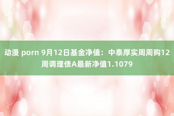 动漫 porn 9月12日基金净值：中泰厚实周周购12周调理债A最新净值1.1079