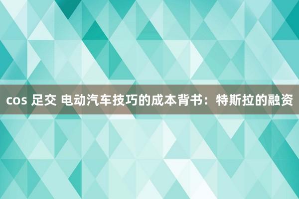 cos 足交 电动汽车技巧的成本背书：特斯拉的融资