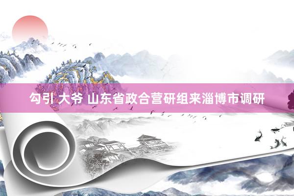 勾引 大爷 山东省政合营研组来淄博市调研