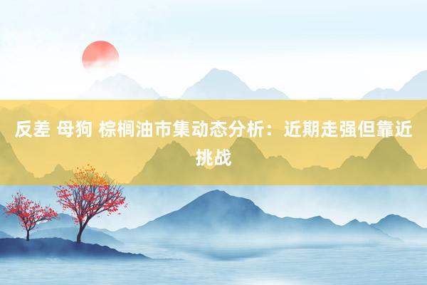 反差 母狗 棕榈油市集动态分析：近期走强但靠近挑战