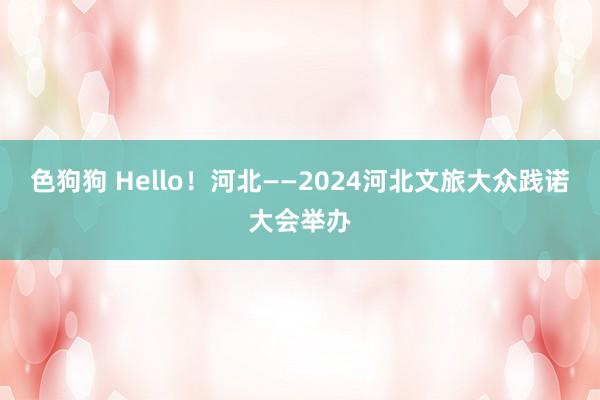 色狗狗 Hello！河北——2024河北文旅大众践诺大会举办