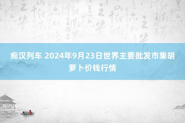 痴汉列车 2024年9月23日世界主要批发市集胡萝卜价钱行情