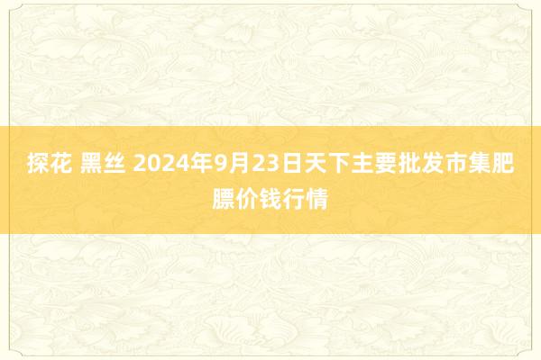 探花 黑丝 2024年9月23日天下主要批发市集肥膘价钱行情