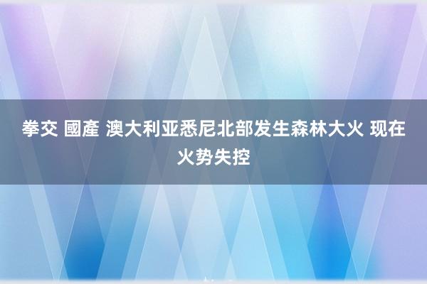 拳交 國產 澳大利亚悉尼北部发生森林大火 现在火势失控