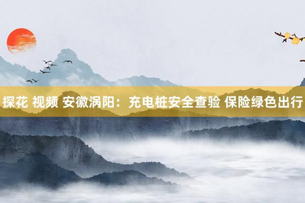 探花 视频 安徽涡阳：充电桩安全查验 保险绿色出行