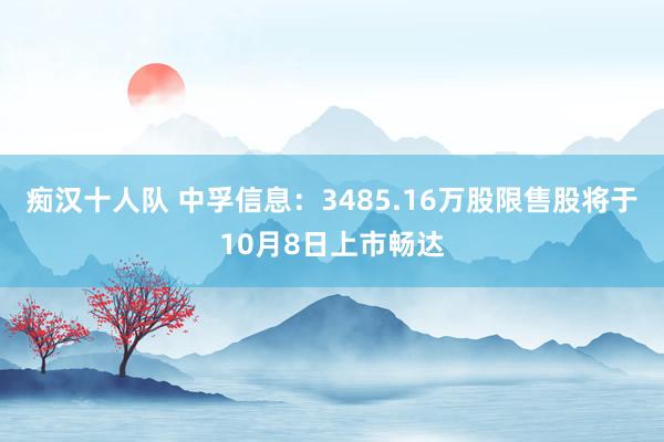 痴汉十人队 中孚信息：3485.16万股限售股将于10月8日上市畅达