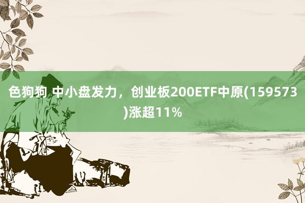 色狗狗 中小盘发力，创业板200ETF中原(159573)涨超11%