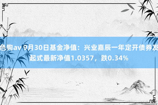 色狗av 9月30日基金净值：兴业嘉辰一年定开债券发起式最新净值1.0357，跌0.34%