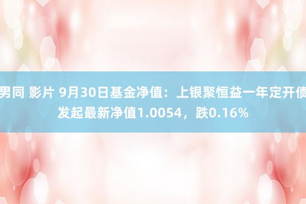 男同 影片 9月30日基金净值：上银聚恒益一年定开债发起最新净值1.0054，跌0.16%