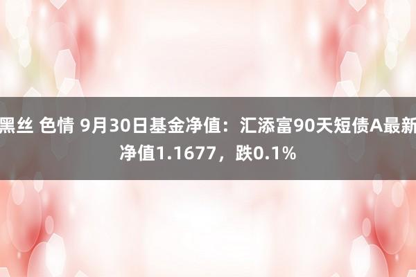 黑丝 色情 9月30日基金净值：汇添富90天短债A最新净值1.1677，跌0.1%