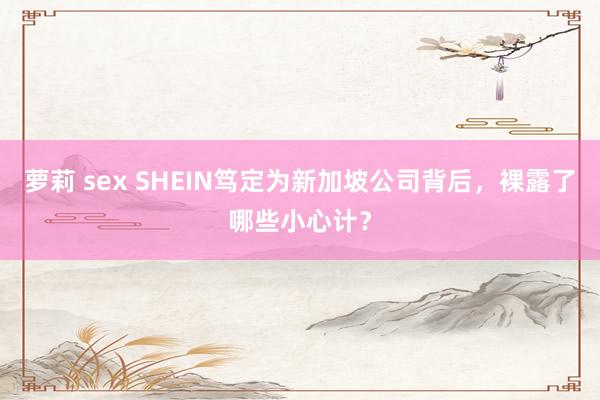 萝莉 sex SHEIN笃定为新加坡公司背后，裸露了哪些小心计？