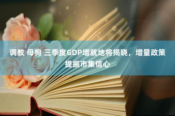 调教 母狗 三季度GDP增就地将揭晓，增量政策提振市集信心