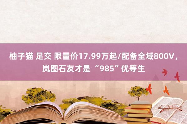 柚子猫 足交 限量价17.99万起/配备全域800V，岚图石友才是 “985”优等生