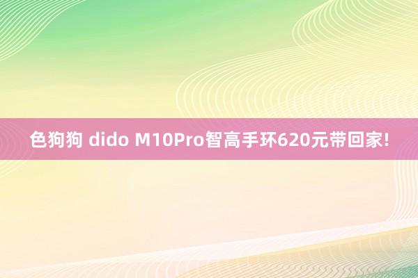 色狗狗 dido M10Pro智高手环620元带回家!