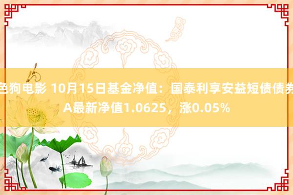 色狗电影 10月15日基金净值：国泰利享安益短债债券A最新净值1.0625，涨0.05%