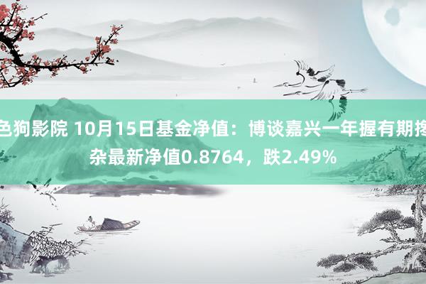 色狗影院 10月15日基金净值：博谈嘉兴一年握有期搀杂最新净值0.8764，跌2.49%