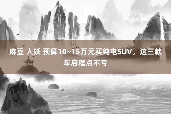 麻豆 人妖 预算10~15万元买纯电SUV，这三款车启程点不亏