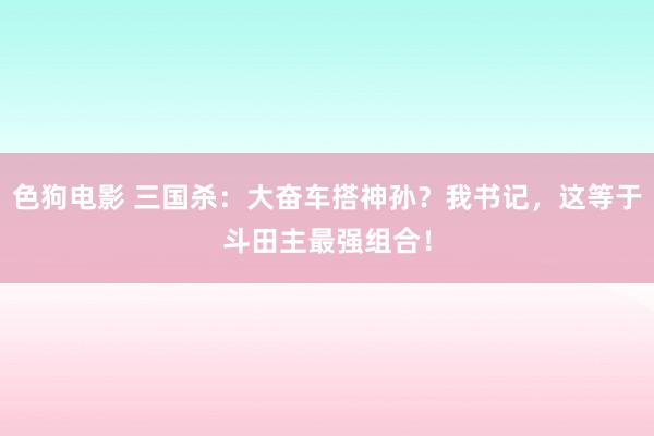 色狗电影 三国杀：大奋车搭神孙？我书记，这等于斗田主最强组合！