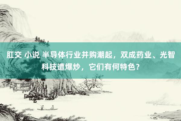 肛交 小说 半导体行业并购潮起，双成药业、光智科技遭爆炒，它们有何特色？