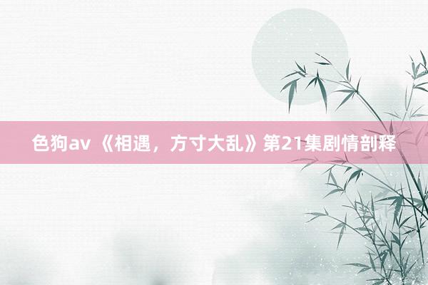 色狗av 《相遇，方寸大乱》第21集剧情剖释