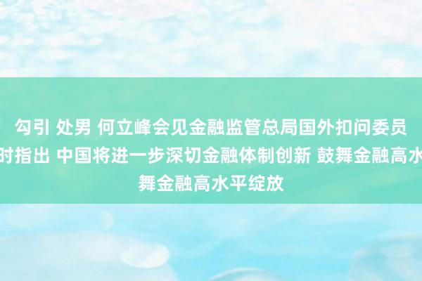 勾引 处男 何立峰会见金融监管总局国外扣问委员会委员时指出 中国将进一步深切金融体制创新 鼓舞金融高水平绽放