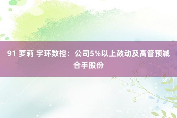 91 萝莉 宇环数控：公司5%以上鼓动及高管预减合手股份