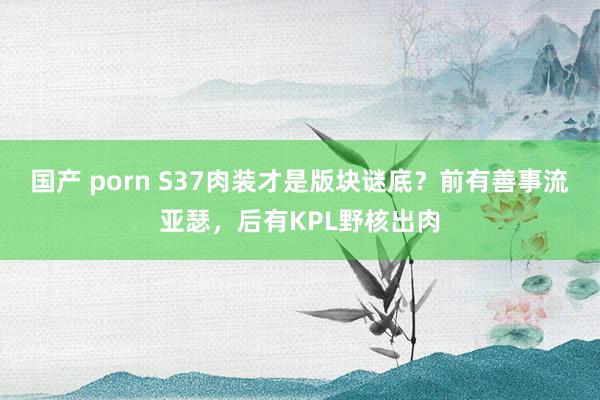 国产 porn S37肉装才是版块谜底？前有善事流亚瑟，后有KPL野核出肉