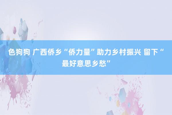 色狗狗 广西侨乡“侨力量”助力乡村振兴 留下“最好意思乡愁”