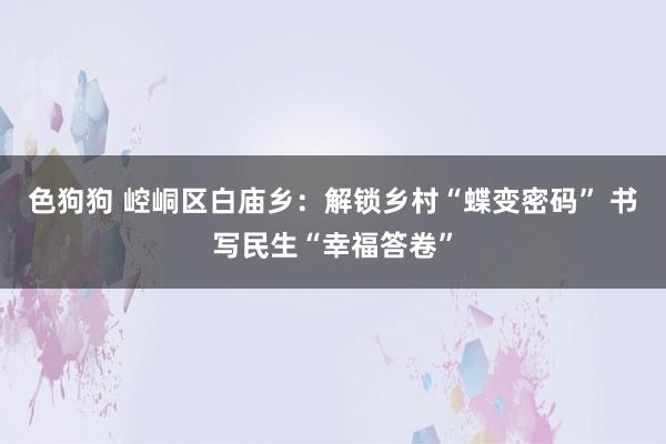 色狗狗 崆峒区白庙乡：解锁乡村“蝶变密码” 书写民生“幸福答卷”