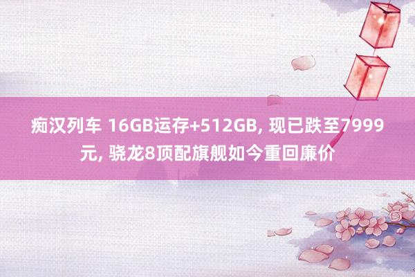 痴汉列车 16GB运存+512GB， 现已跌至7999元， 骁龙8顶配旗舰如今重回廉价