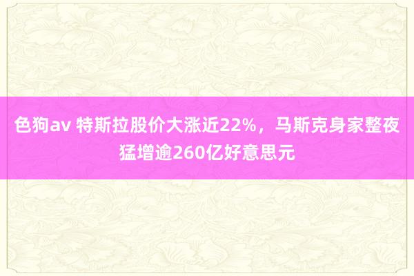 色狗av 特斯拉股价大涨近22%，马斯克身家整夜猛增逾260亿好意思元