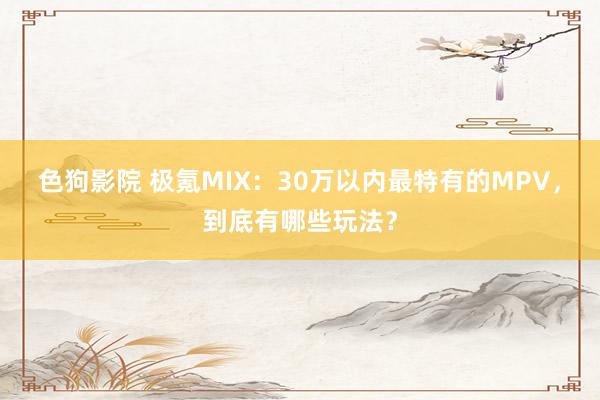 色狗影院 极氪MIX：30万以内最特有的MPV，到底有哪些玩法？