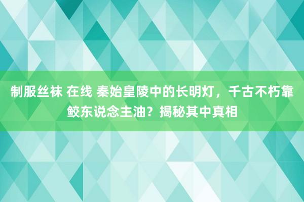 制服丝袜 在线 秦始皇陵中的长明灯，千古不朽靠鲛东说念主油？揭秘其中真相