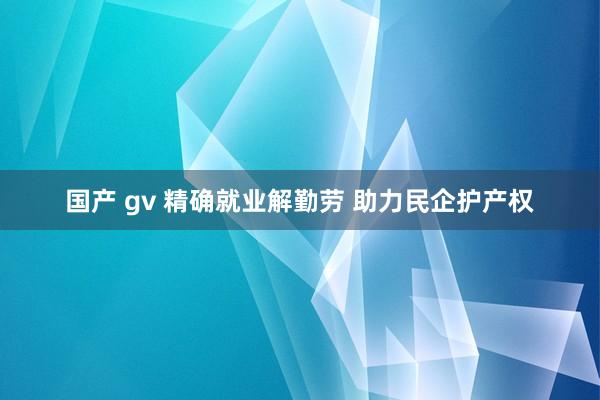 国产 gv 精确就业解勤劳 助力民企护产权