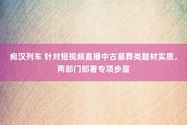 痴汉列车 针对短视频直播中古墓葬类题材实质，两部门部署专项步履