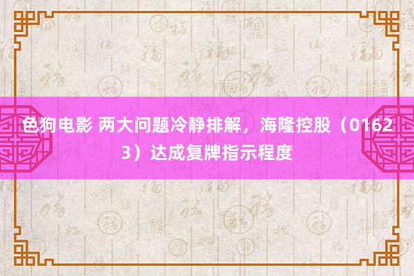 色狗电影 两大问题冷静排解，海隆控股（01623）达成复牌指示程度