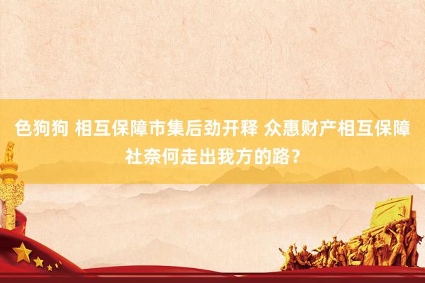 色狗狗 相互保障市集后劲开释 众惠财产相互保障社奈何走出我方的路？